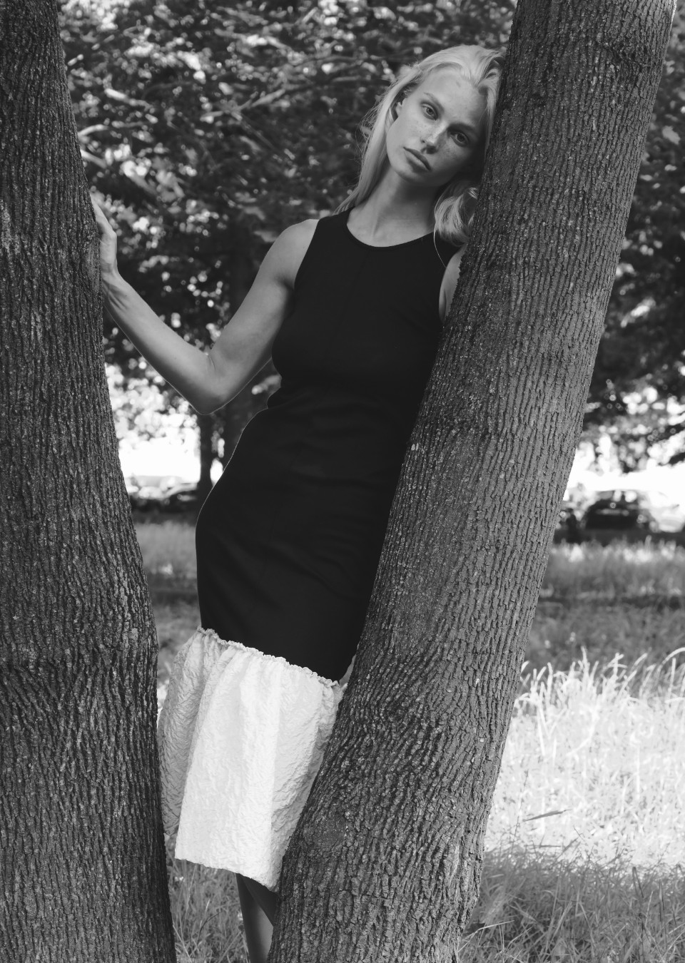 ANNALISE DEMMLER