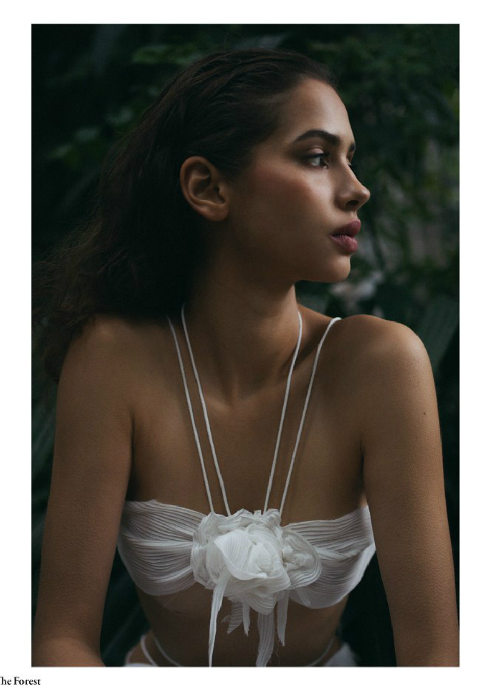 ENYA BAMBERGER