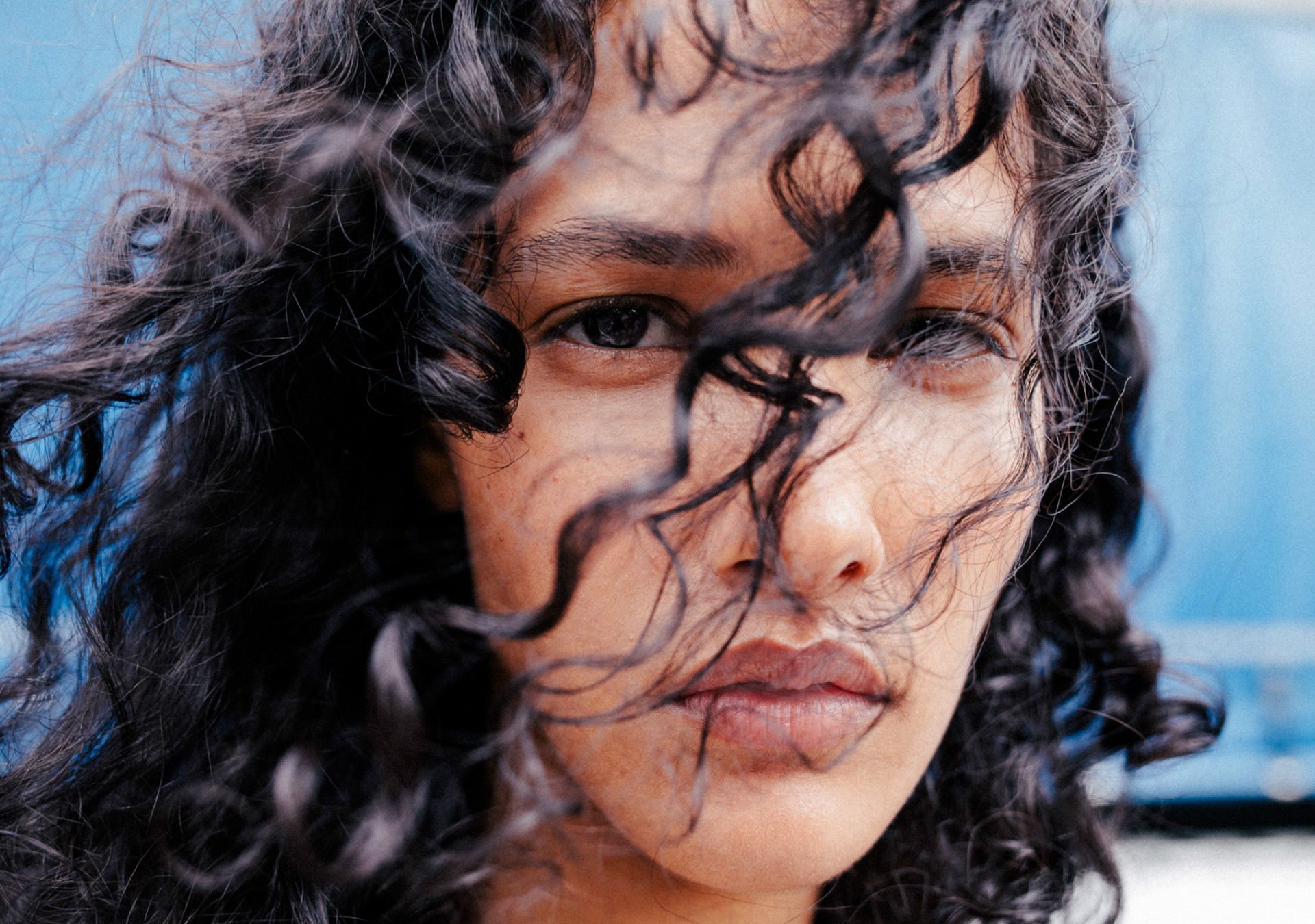 Dina Muse