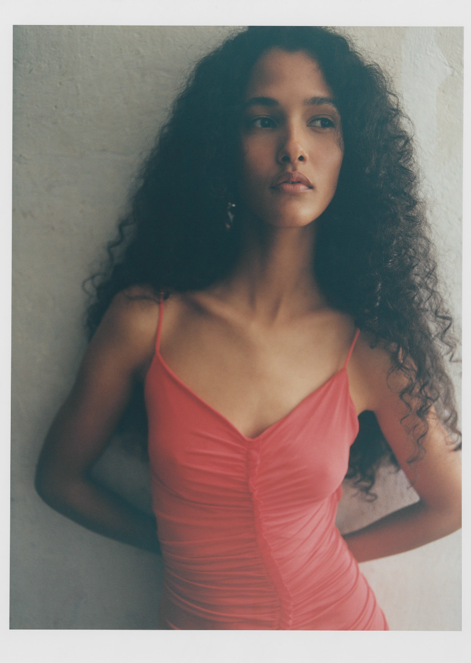Dina Muse
